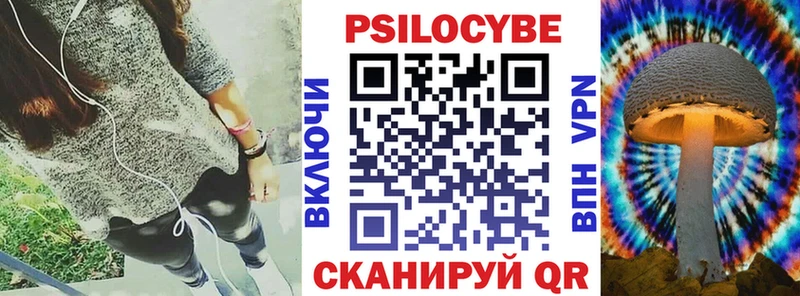 купить цена Краснознаменск Галлюциногенные грибы прущие грибы